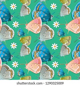 Seamless pattern with multicolored sketch butterflies and daisies on a green background. Vector illustration