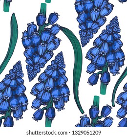 seamless pattern, Muscari flowers, hand drawing, vector illustration