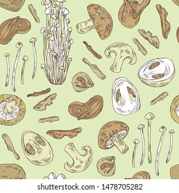 Seamless pattern with mushroom: shiitake, muer, straw mushroom cao gu and enokitake. Vector hand drawn illustration