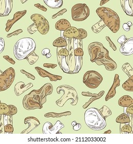 Seamless pattern with mushroom: shiitake, muer, champignon and shimedji. Vector hand drawn illustration