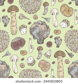 Seamless pattern with mushroom:  thelephora ganbajun, tricholoma matsutake, hericium erinaceus and auricularia polytricha. Vector hand drawn illustration