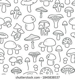 Seamless pattern with mushrooms. Black and white thin line icons