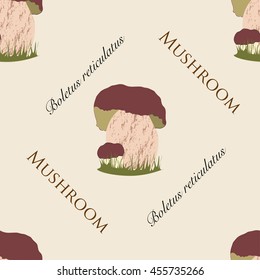 Seamless Pattern. Mushrooms Collection Pattern with words Mushroom Boletus reticulatus.