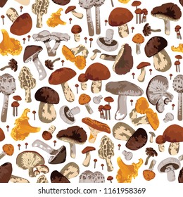 Seamless pattern with mushrooms. A lot of different edible mushrooms on a white background.
