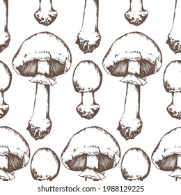 Seamless pattern. Mushrooms on a white background. Hand-painted