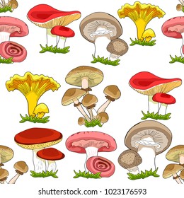 seamless pattern mushrooms russula, chanterelle, champignon, greasers, honey agaric, freckle.  vector illustration