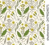 Seamless pattern with mustard plant flowers. Hand drawn engraved repeating floral background for textile, packaging, label, card, print, paper, wallpaper. Spicy food ingredient. Vector illustration