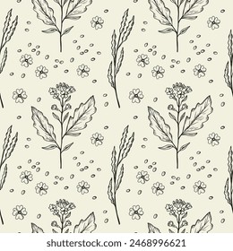 Seamless pattern with mustard plant flowers. Hand drawn engraved repeating floral background for textile, packaging, label, card, print, paper, wallpaper. Spicy food ingredient. Vector illustration