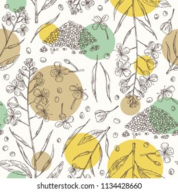 Seamless pattern with mustard: plant, mustard seeds, flower, leaves and pod. Dijon mustard. Vector hand drawn illustration.