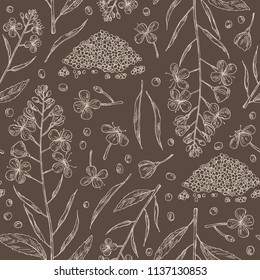 Seamless pattern with mustard: plant, mustard seeds, flower, leaves and pod. Dijon mustard. Vector hand drawn illustration.