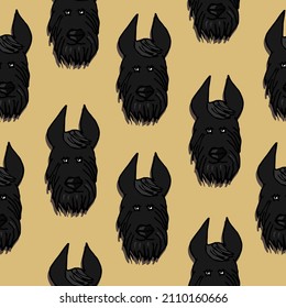 Seamless pattern, the muzzle of a Scottish Terrier dog