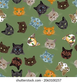 seamless pattern with muzzles of cats on a background of olive color