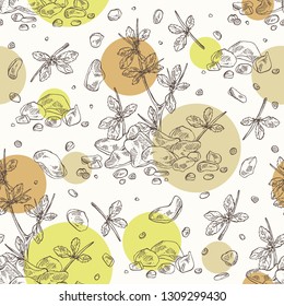 Seamless pattern with myrrh: plant and resin of myrrh. Commiphora myrrha. Perfumery, cosmetics and medical plant. Vector hand drawn illustration