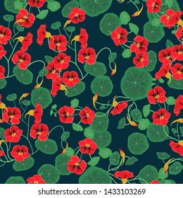 Seamless pattern with nasturtium flowers. Vector illustration.