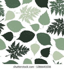 Seamless pattern of natural  green leaves, herbs on white background