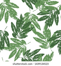 seamless pattern natural green leaves stamp on white background, foliage vector, illustration