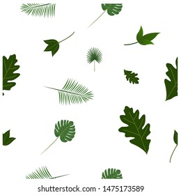 Seamless pattern of natural leaves, green leaves, plants, tropical plants with a white background
