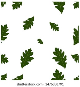 Seamless pattern of natural leaves, green leaves, plants, tropical plants with a white background