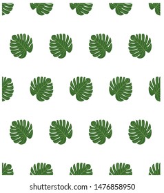 Seamless pattern of natural leaves, green leaves, plants, tropical plants with a white background