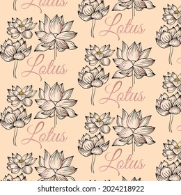 Seamless pattern with a natural ornaments. Tropical vintage lotus flower, water lily on pink background. Lotus seed pods. 