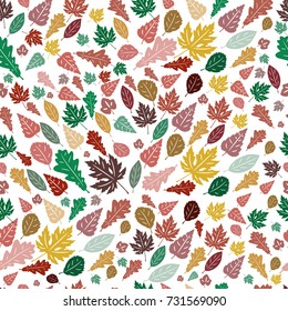 Seamless pattern. Nature, floral themes. White background with color elements - leaves of oak, willow and other.