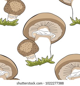seamless pattern  is nature mushrooms champignons  vector illustration
