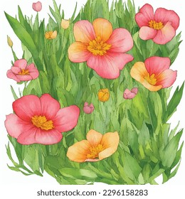 Seamless pattern nature 
 summer buttercup flowers watercolor botanic art style illustration