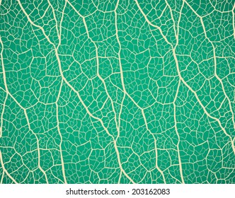 Seamless pattern. Nature theme.