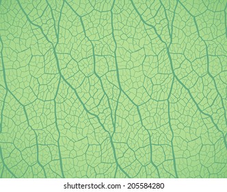 Seamless pattern. Nature theme.