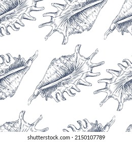 Patrón sin foco de conchas marinas. Fondo marino. Ilustración vectorial dibujada a mano. Para invitaciones, tarjetas, carteles, impresiones, pancartas, publicidad, textiles, papel pintado y ropa de cama