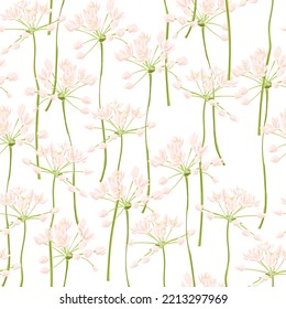 nahtloses Muster mit neapolitanem Knoblauch, Feldblumen, Vektorgrafik von Wildpflanzen auf weißem Hintergrund, Blumenwiese , handgezeichnet botanische Illustration