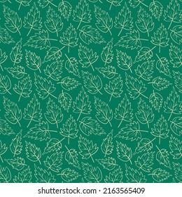 Seamless pattern with nettle leaves. Hand drawn plant on green background. Vector illustration.