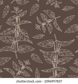 Seamless pattern with nettle: plant, leaves, branch of nettle and flowers. Cosmetics and medical plant. Vector hand drawn illustration.