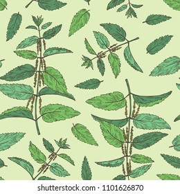 Seamless pattern with nettle: plant, leaves, branch of nettle and flowers. Cosmetics and medical plant. Vector hand drawn illustration.