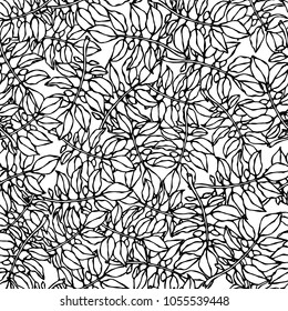 Seamless Pattern of Nightshade Plants Tomato or Potato Leaves. Botanical Gardening Illustration. Ketchup Logo or Vegetable Salad. Realistic Hand Drawn Vector Illustration. Savoyar Doodle Style.