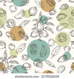 Seamless pattern with nuts: almond, brazilian nut, pecan and macadamia. Vector hand drawn illustration.