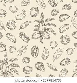 Seamless pattern with nuts: almond, brazilian nut, pecan and macadamia. Vector hand drawn illustration.