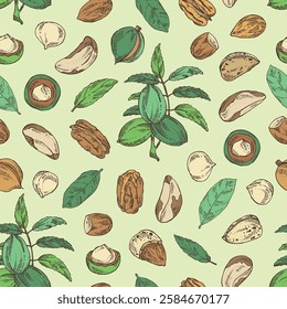 Seamless pattern with nuts: almond, brazilian nut, pecan and macadamia. Vector hand drawn illustration.