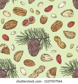 Seamless pattern with nuts: almonds, pecan, peanuts and pine nuts. Vector hand drawn illustration.