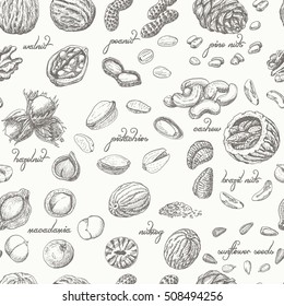 Seamless pattern with nuts on a white background. Vector illustration for your design