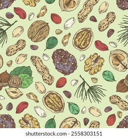 Seamless pattern with nuts: walnut, hazelnut, peanuts and pine nuts. Vector hand drawn illustration.