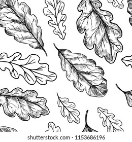 Seamless pattern with oak leaves and acorn. Hand drawn sketch. Vector