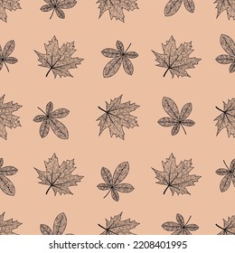 Seamless pattern with oak and maple leaves . Leaves with a beautiful ornament. Vector isolated background. Texture for textiles or wrapping paper, wallpaper, autumn pattern.
