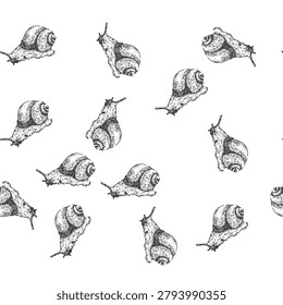 seamless pattern object snail hand drawn. slug slow, insect plant, invertebrate wood object snail black sketch illustration