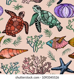 Seamless pattern with Ocean life organisms, shells, fish, corals, and turtle.