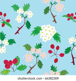 Seamless pattern with officinal hawthorn