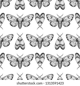 seamless pattern oh moth. tatto style graphic design, vector illustration on white background. vintage style
