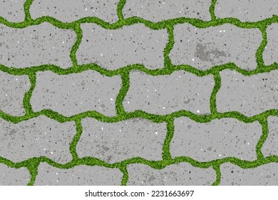 Seamless pattern of old pavement with moss and figured interlocking textured bricks. Vector pathway texture top view. Outdoor slab sidewalk. Cobblestone footpath or patio. Concrete block floor