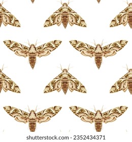 Seamless pattern with Oleander Hawk-Moth. Nocturnal tropical butterfly. Stock vector illustration on a white background.
