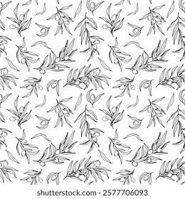 Seamless pattern of olive branch with berries and leaves. Hand drawn vector line art illustration. Black and white drawing background of the symbol of Italy or Greek. Outline print for fabric, textile